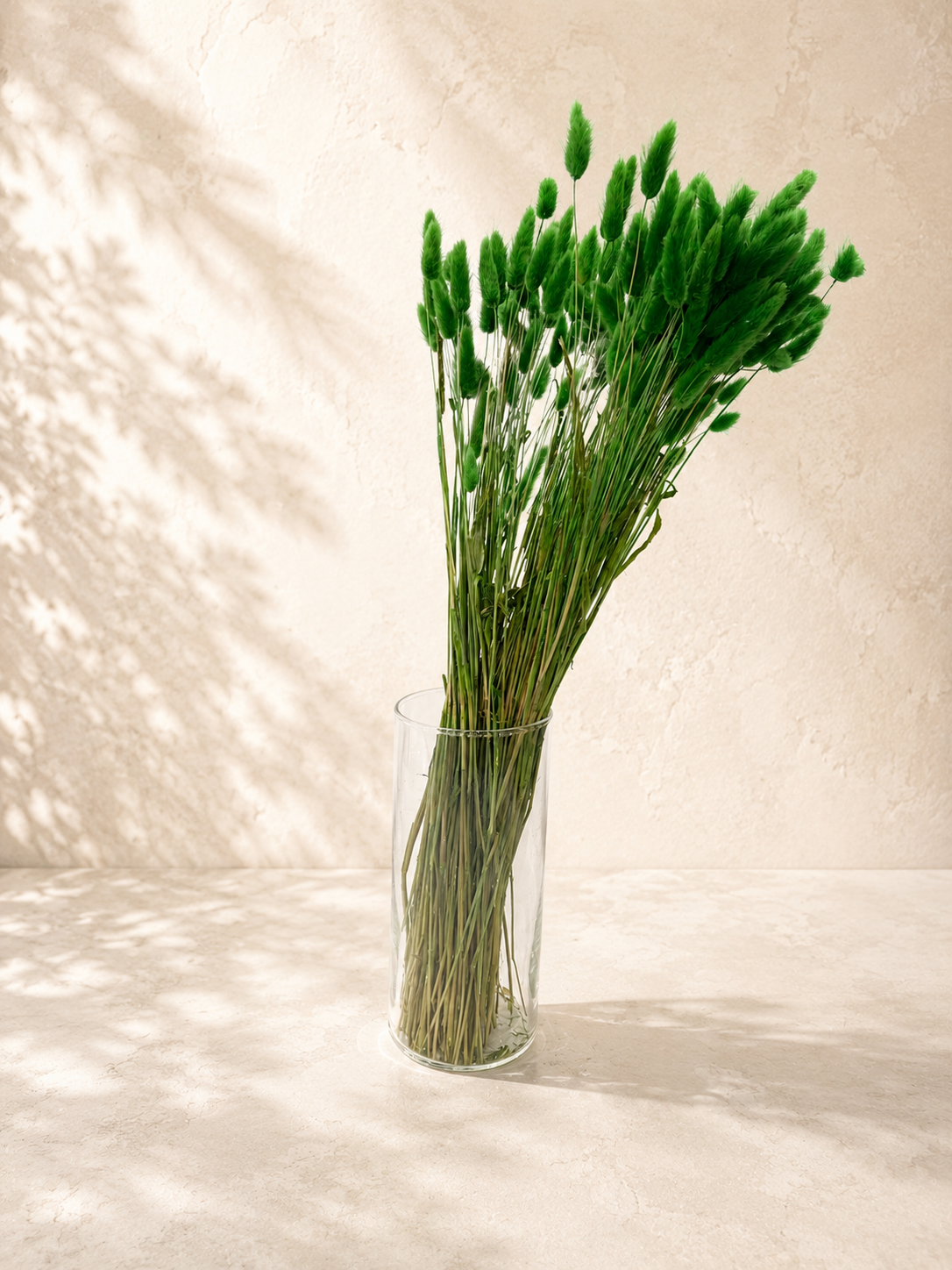 Bunny Tail Preserved Green