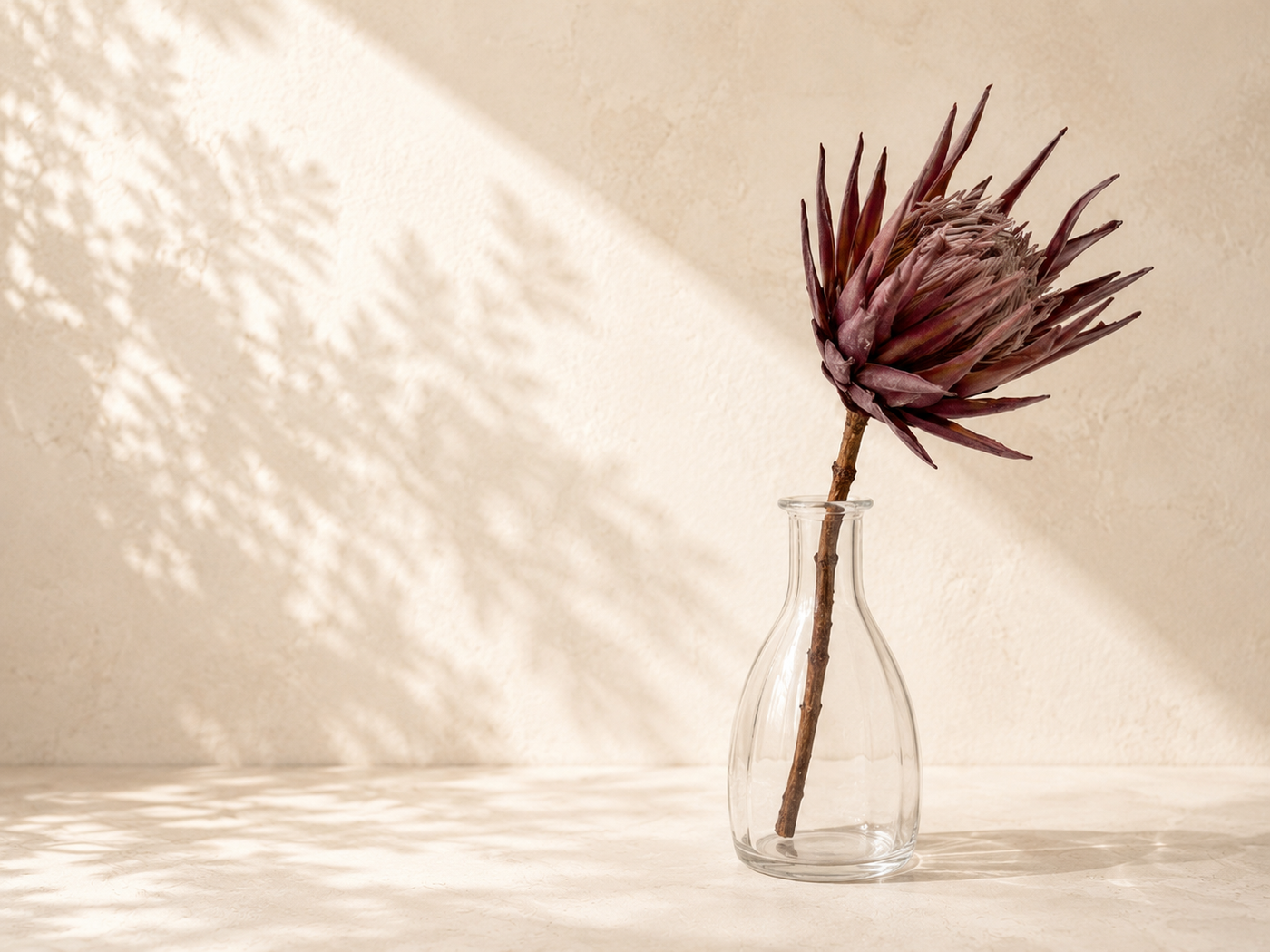 King Protea