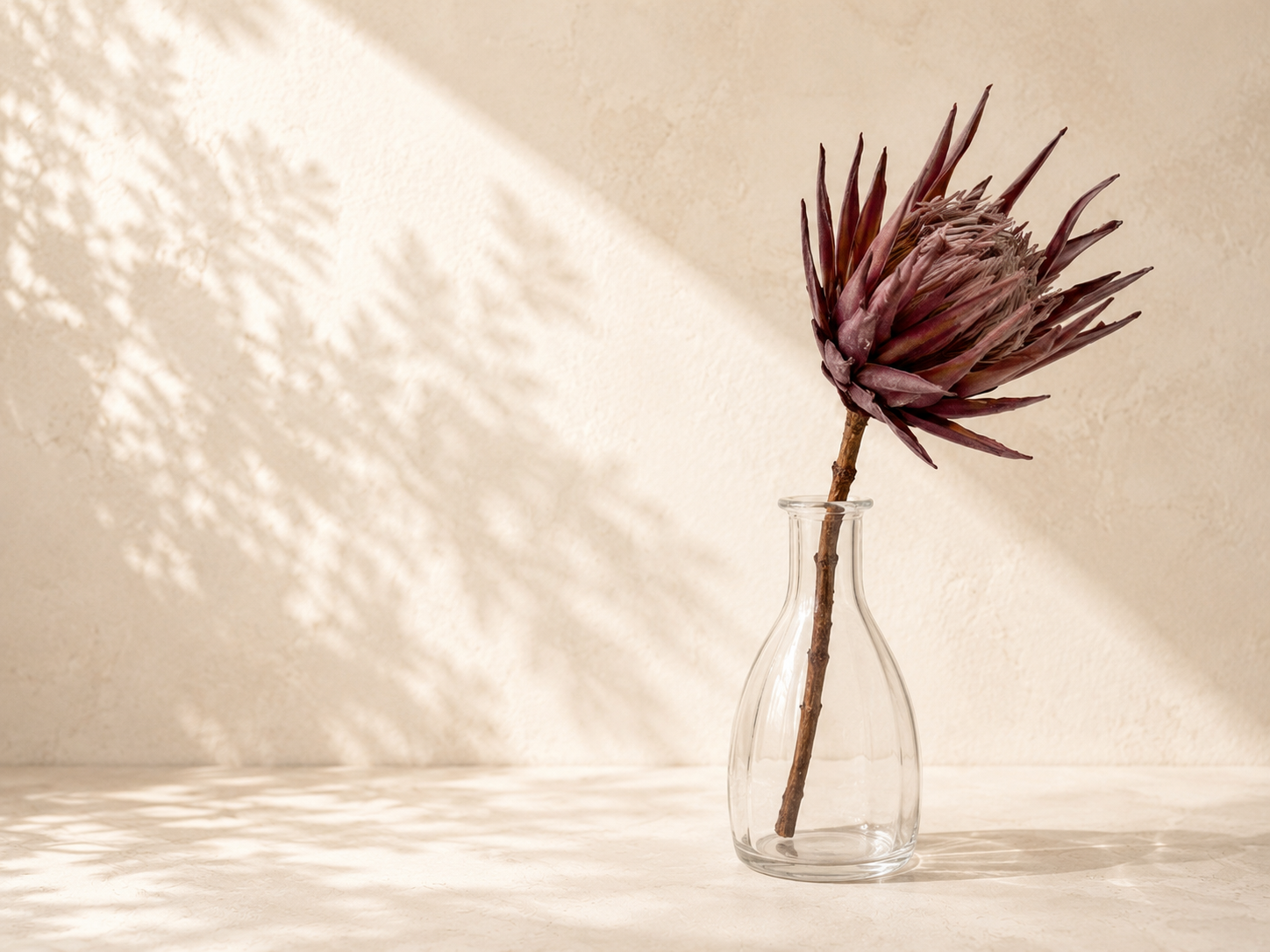 King Protea