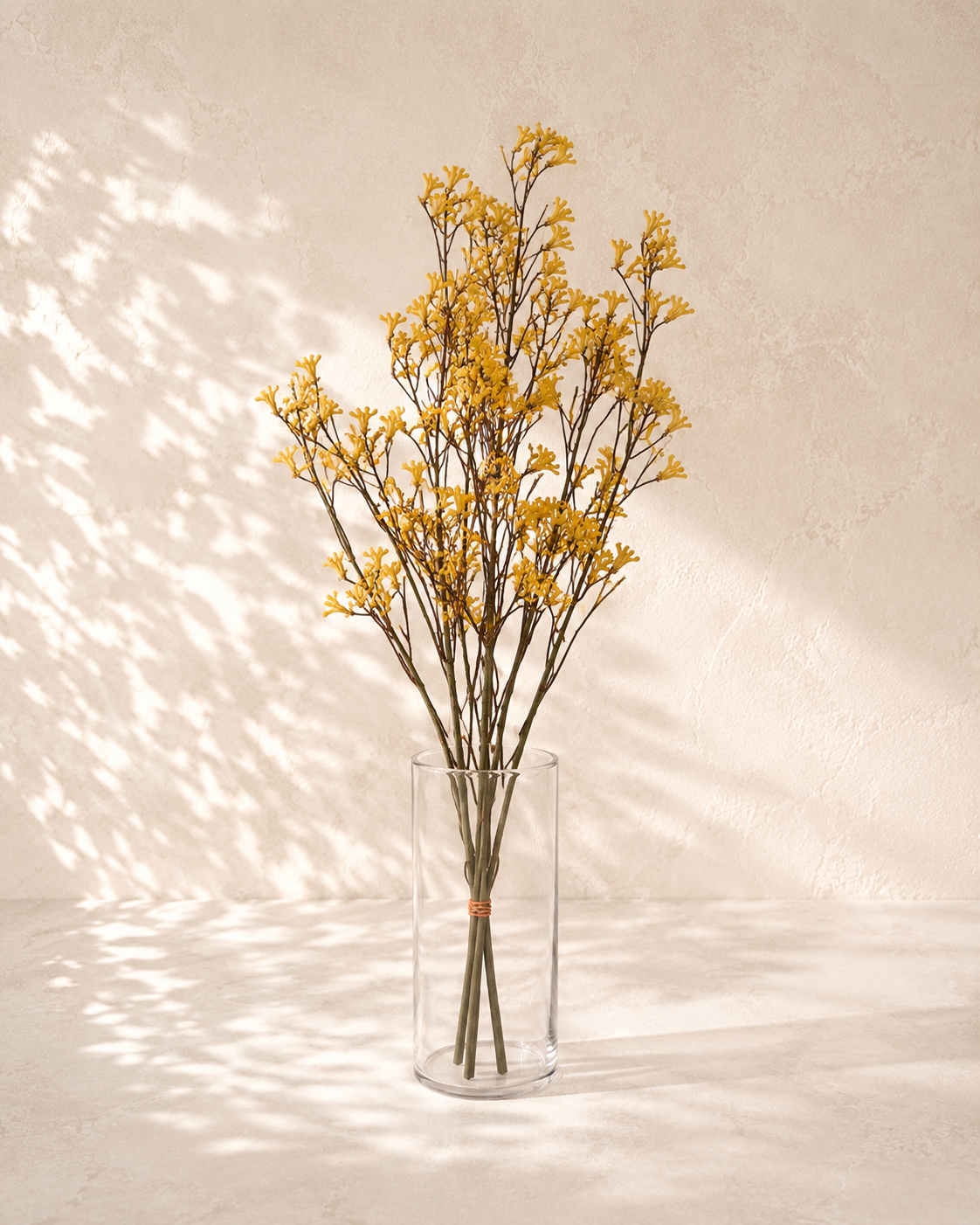 Kangaroo Paw