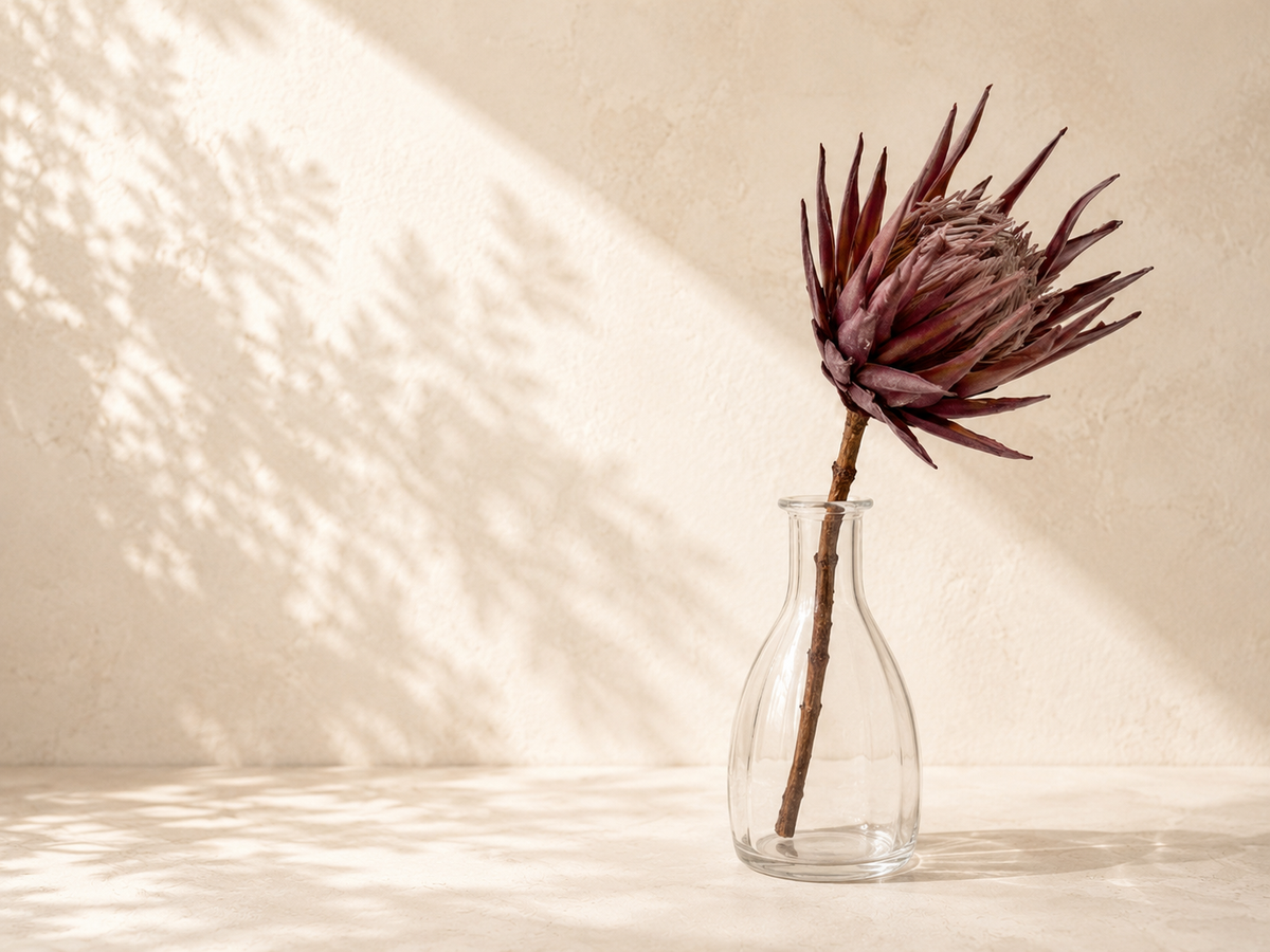 King Protea - DRIED