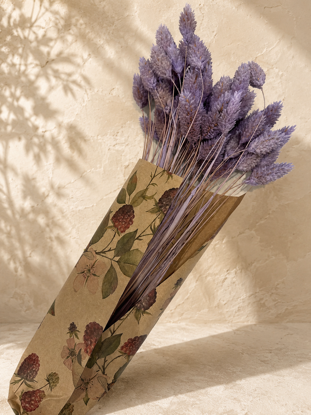 Phalaris- Lots of skinny stems with fluffy lilac colored puffs
MARARI