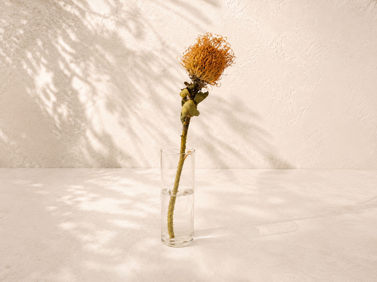 Pincushion